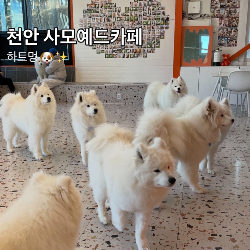 사진 7