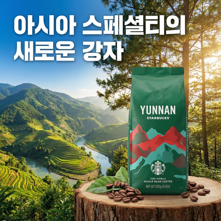  중국 운남(원난)커피의 반란 보이차 산지에서 자란 커피