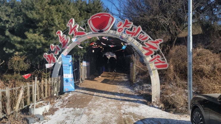  [원주] 겨울에만 열리는 마법, 꽃양귀비 마을 '인투디언논' 얼음썰매 여행