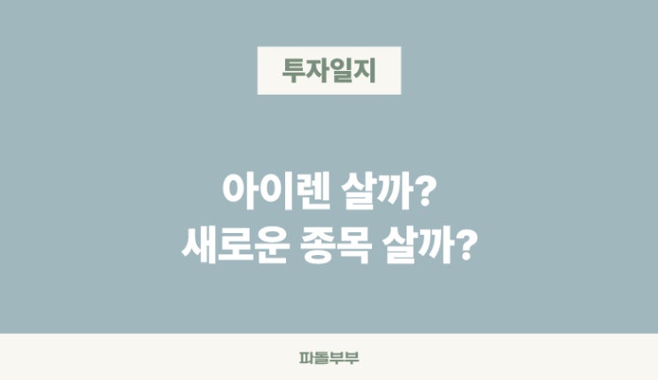  아이렌 IREN 팔란티어 PLTR vs 새로운 종목, 어떤거 살까?