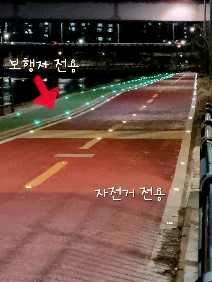  중랑천 달리기 포기 그냥 걷기
