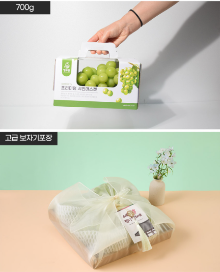  2026 설 명절 선물 고민 끝 ① 3만원 이하 과일·티 추천 리스트