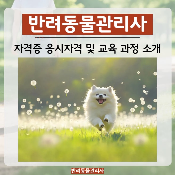  반려동물관리사 자격증 응시자격 및 교육 과정 소개