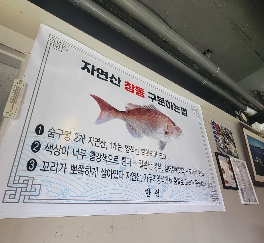 만선 사진 3