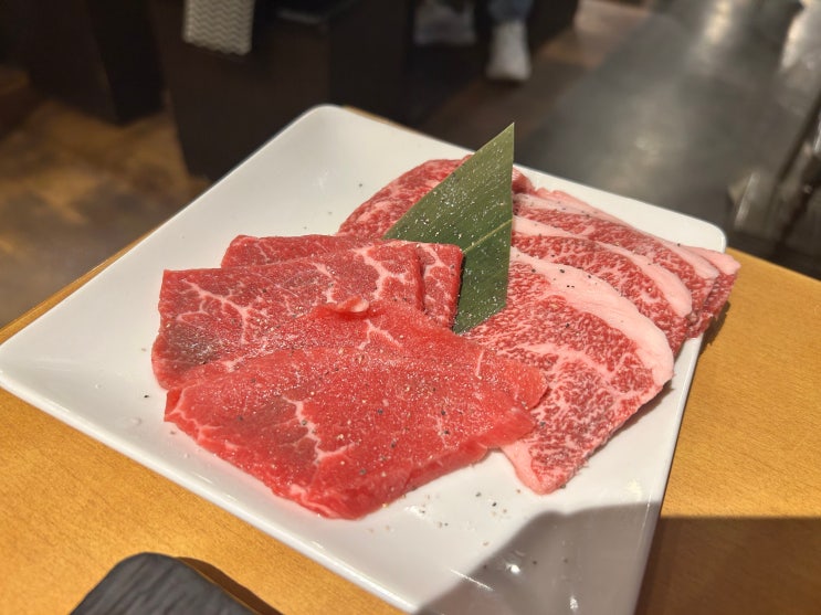  시부야 야끼니쿠 무한리필 추천맛집 시부야 와규무한 니쿠야노다이도코로