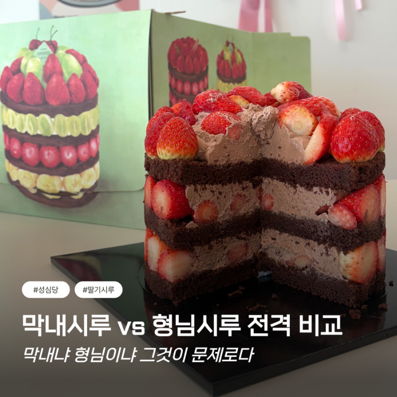 딸기시루 막내 성심당 딸기시루 가격 사이즈 얼마나 차이날까?