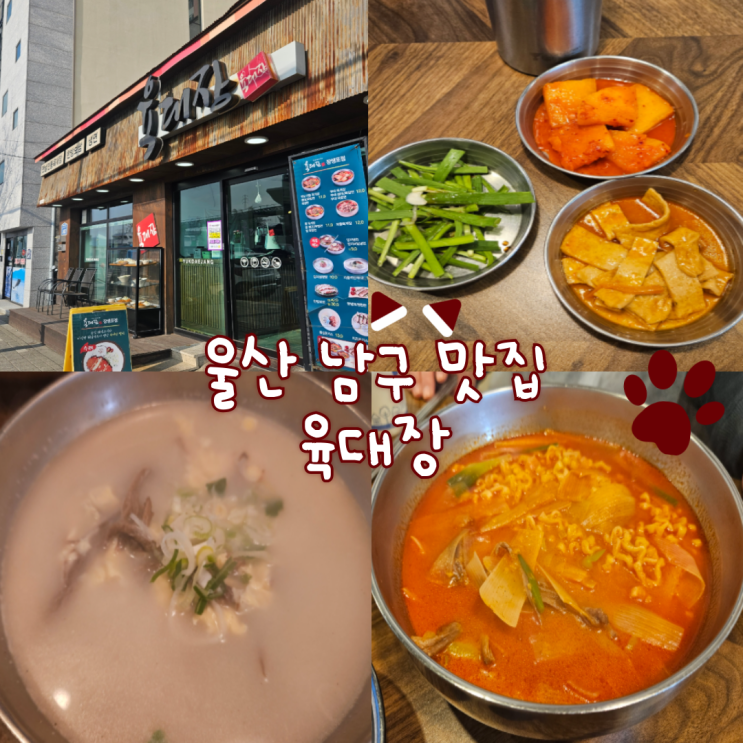  울산 장생포고래박물관 근처 맛집: 육대장 내돈내산 찐 후기!!!!(아이랑 가기 좋아요! 돈까스, 사골곰탕 먹이기 좋아요!)