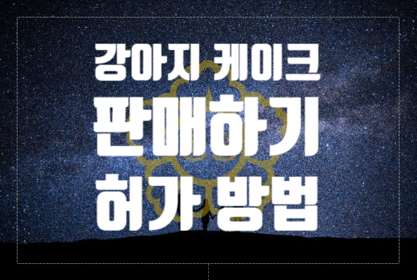  강아지 케이크 판매 허가 받는 방법