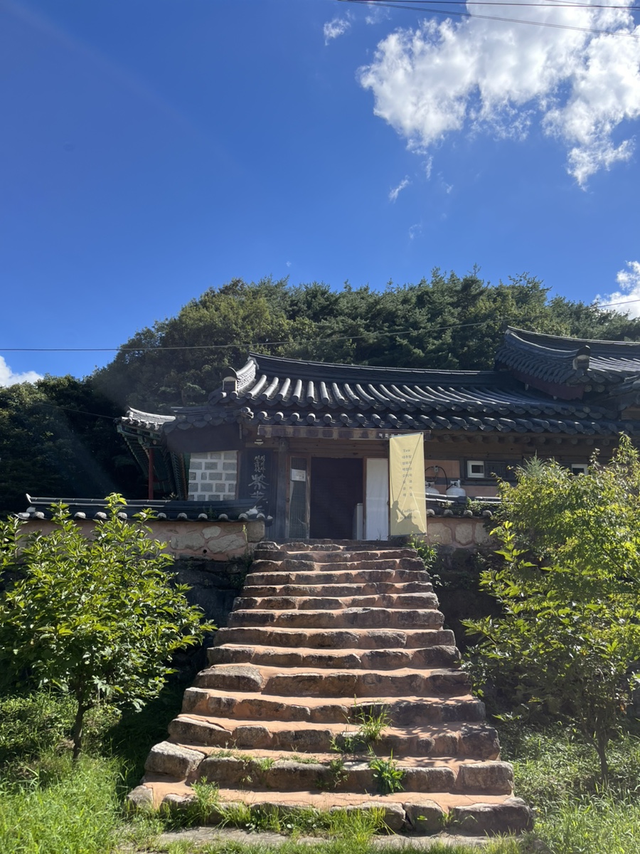 직지사 다반향초 사진 2