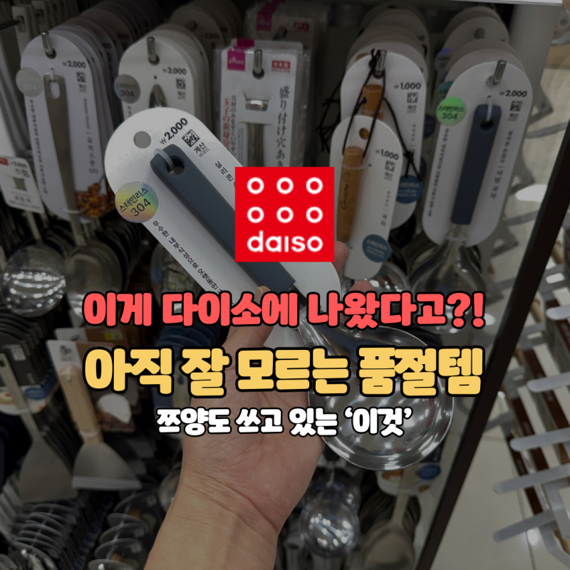 이게 다이소에 나왔다고? 쯔양도 사용했던 그 국자