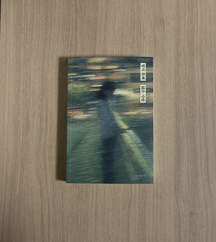  히코로히 책 연애 소설 닿지 못해 닳은 사랑 서평
