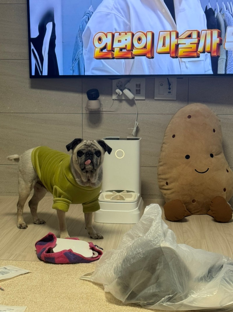 바램펫 밀리 자동급식기 보상판매