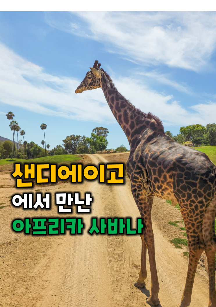 미국 샌디에고 여행-<b>샌디에이고</b> 동물원 사파리파크 여행기
