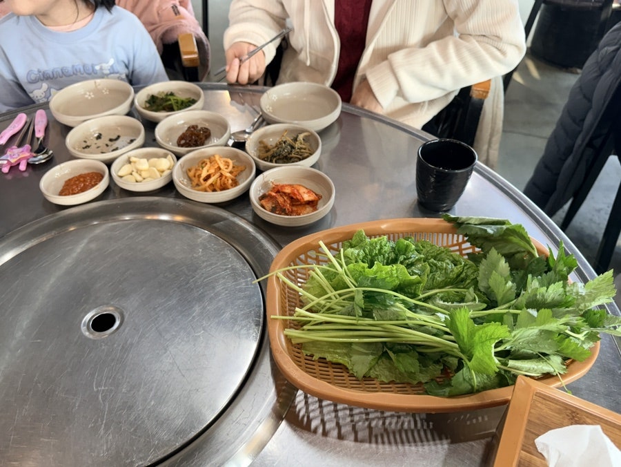 청목장어 사진 5