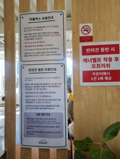 사진 3