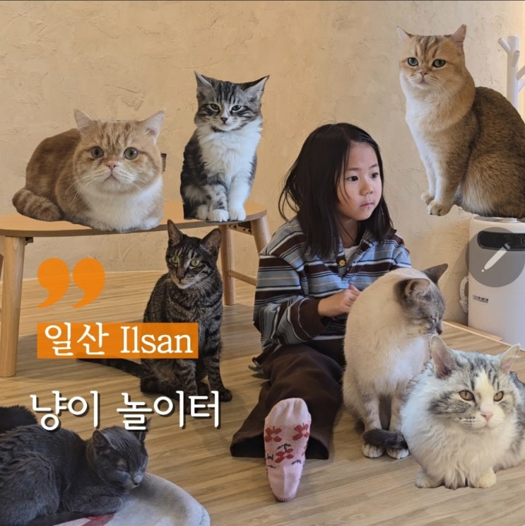  일산 아이랑 가기좋은 곳 댕냥이랑 데이트 냥이놀이터
