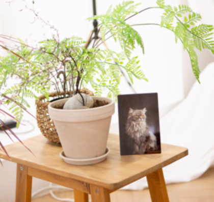 소중한 추억을 담을 사진액자 전문 쇼핑몰 !