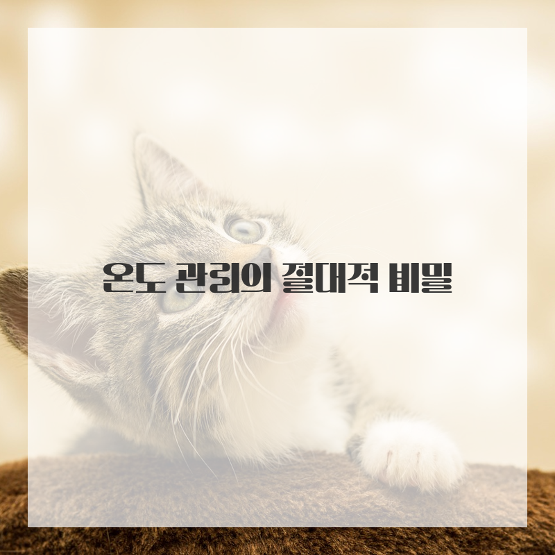 완벽한 스테이크 굽기 온도와 레스팅 시간의 비밀