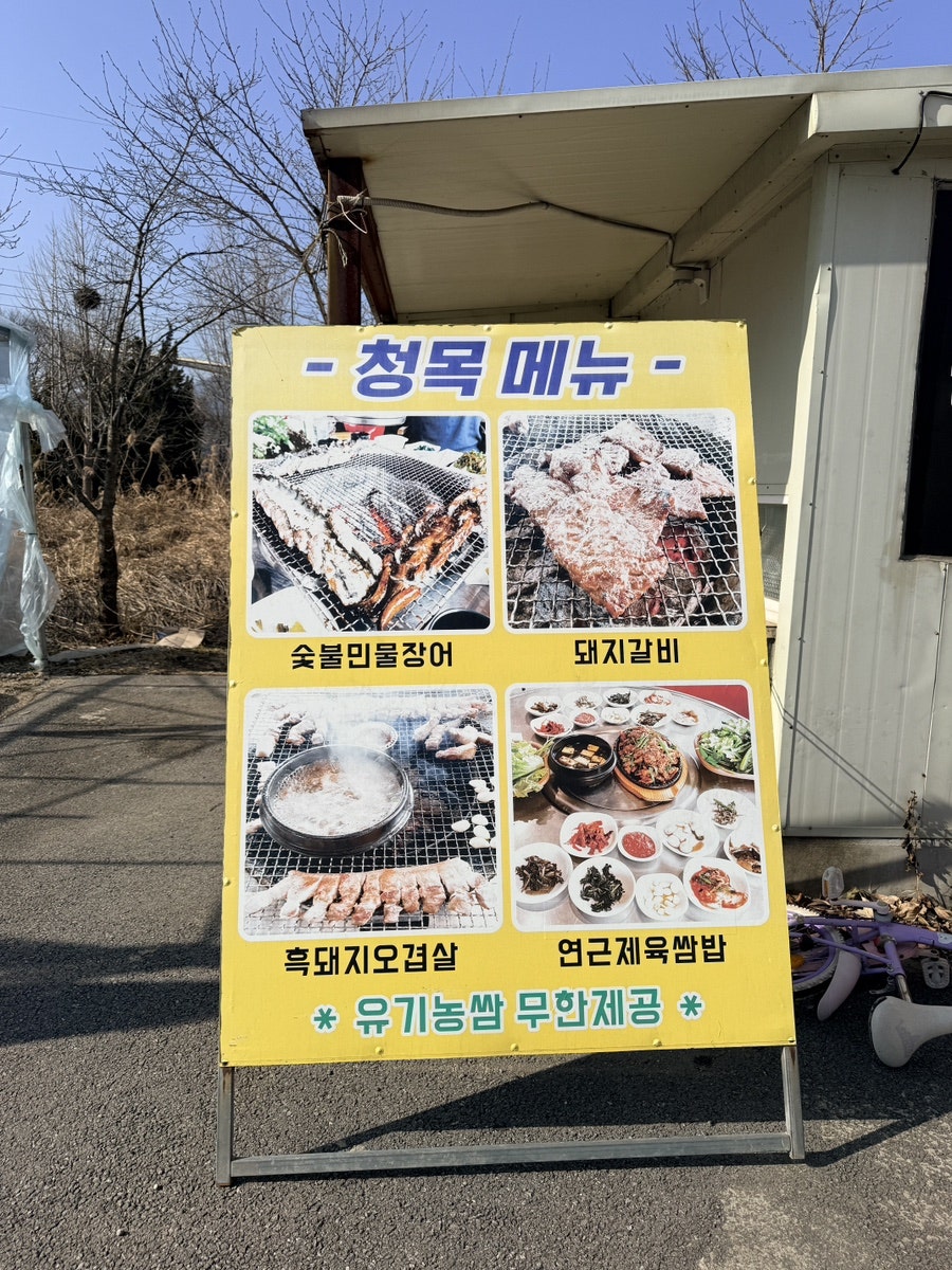 청목장어 사진 4