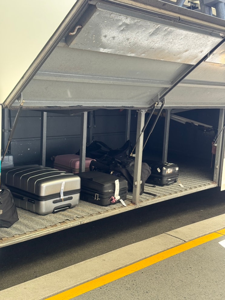  브리즈번 스탠소프 가는법 정리 Crisps 버스 예약부터 탑승까지 자세히