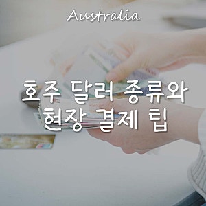 호주 여행 가기 전 필독! 2026 환율 추이부터 알고 보면 더 재밌는 호주 달러의 비밀과 결제 팁