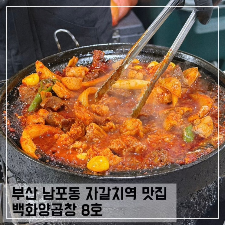  부산 남포동 백화양곱창 8호 후기 자갈치역 맛집 추천