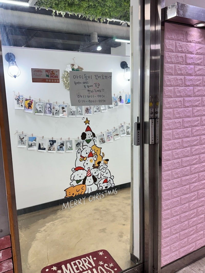 사진 6