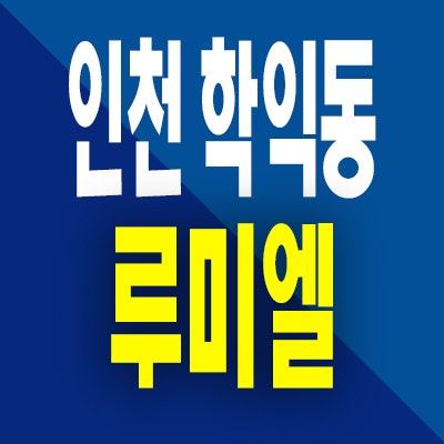  인천 학익 루미엘 분양가 학익동 신축 아파트 분양정보