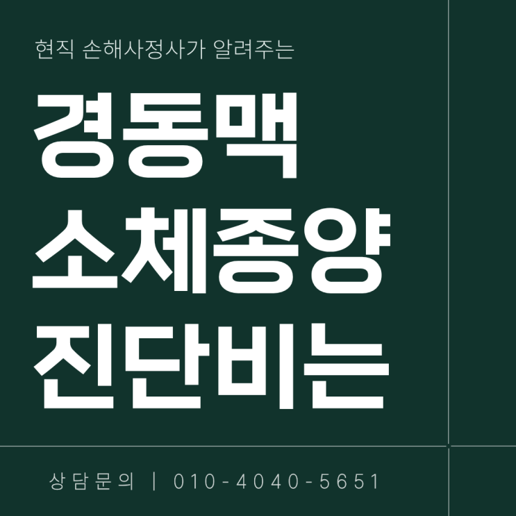  경동맥소체종양(Carotid body) 암진단금 분쟁 해결 솔루션