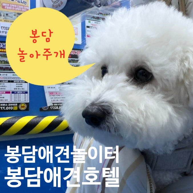 사진 2