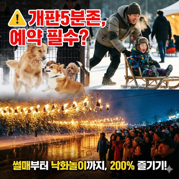  [충북 단양] 2026 제1회 단양 겨울놀이 축제 총정리: 일정, 예약, 반려견 개판5분존 꿀팁