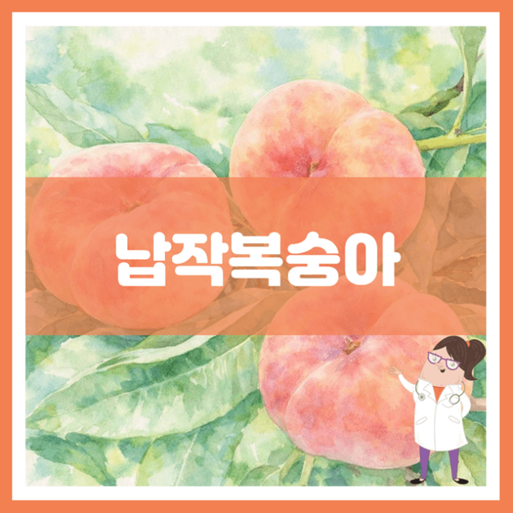  납작복숭아 효능 부작용 보관방법