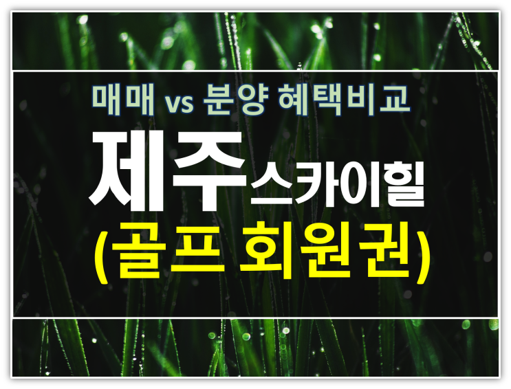  제주스카이힐cc 회원권 매매 vs 분양 혜택 비교