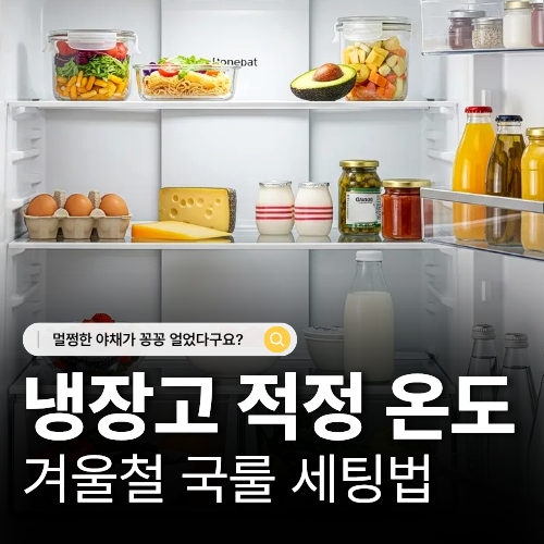  겨울철 냉장고 냉동실 적정온도 설정하고 전기세 절약하는 법