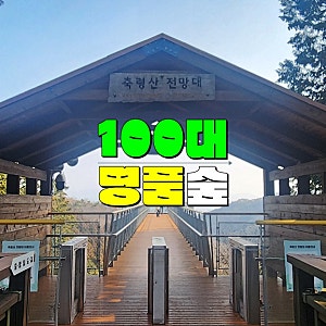 장성 축령산편백숲 하늘숲길 전망대 걷기좋은길 (전남 장성축령산자연휴양림 주차장 등산코....