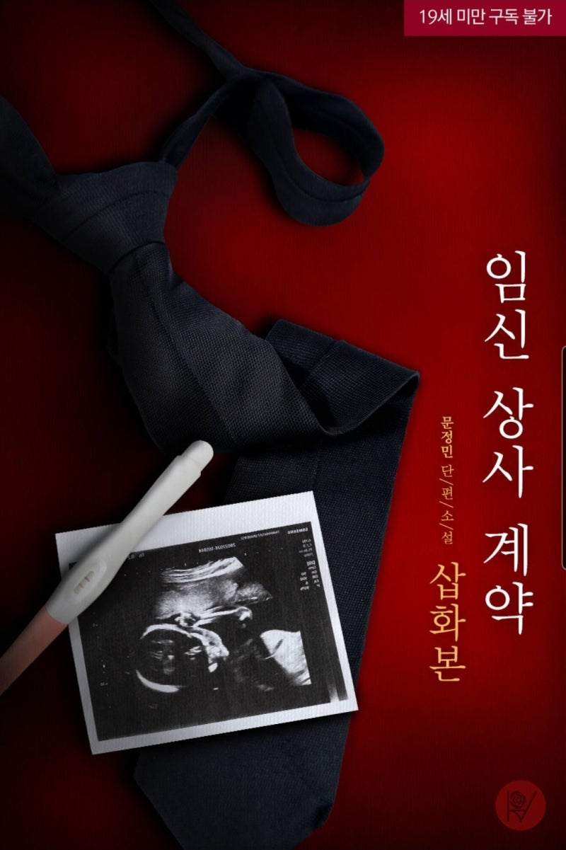 리뷰) 임신 상사 계약 [삽화본] - 문정민