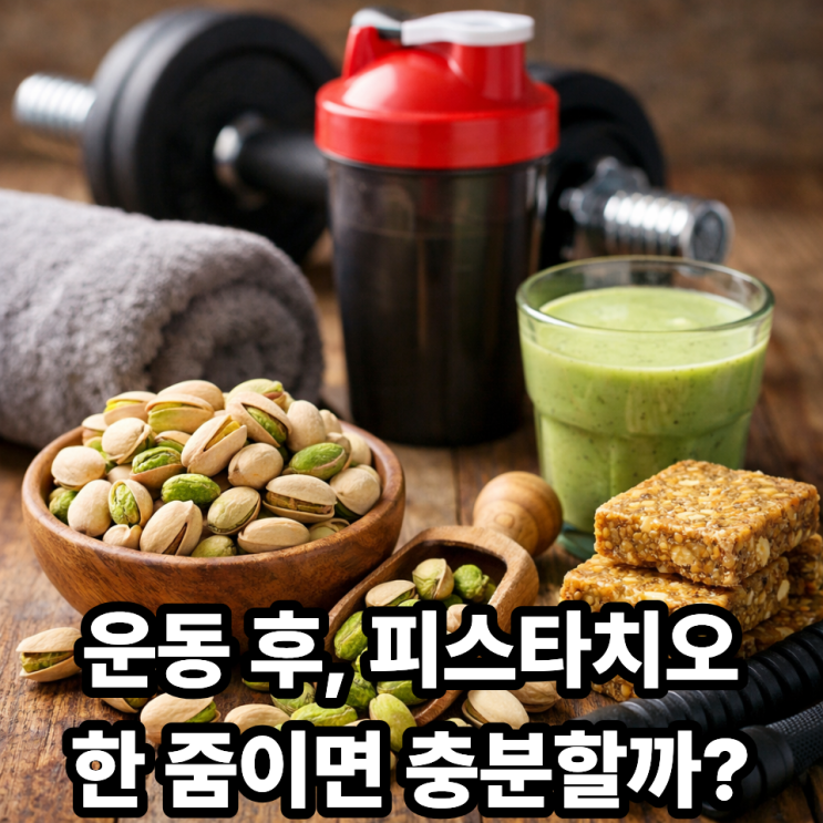  피스타치오 단백질 함량 분석｜운동 후 간식으로 괜찮은 이유와 한계