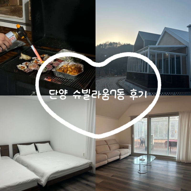사진 5