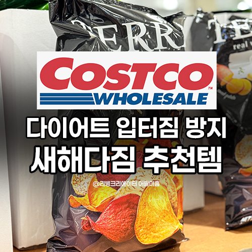  다이어트 입터짐방지 코스트코 추천템