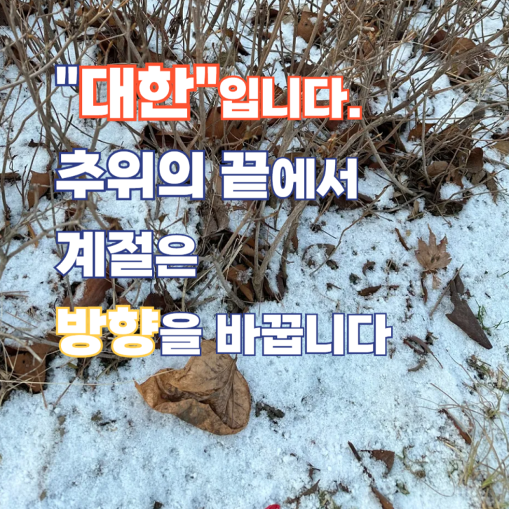  2026년 대한(大寒)·소한(小寒) 뜻과 차이