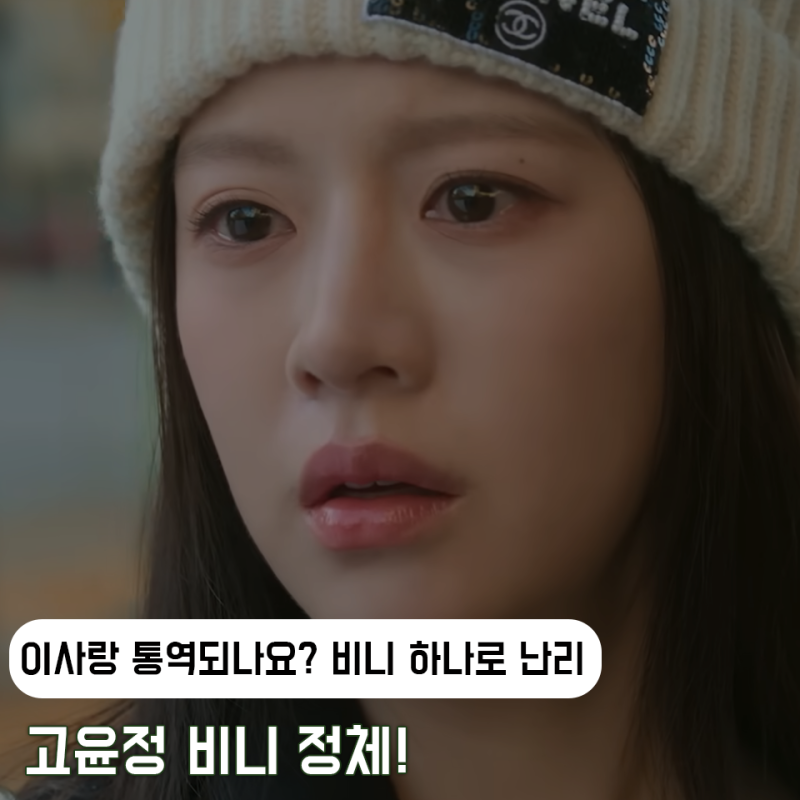 넷플릭스 ‘이사랑 통역되나요?’ 고윤정이 써서 난리난 비니, 샤넬 CC 로고 맞나요?