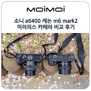 소니 a6400 알파 캐논 m6 mark2 미러리스 카메라 비교 후기
