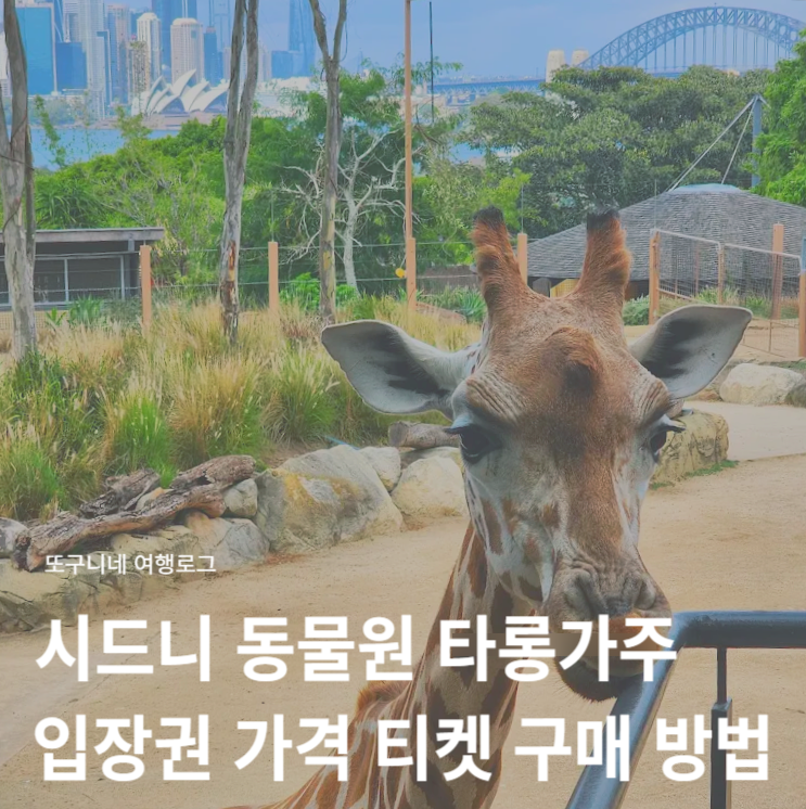  시드니 동물원 타롱가주 입장권 가격 티켓 구매 방법