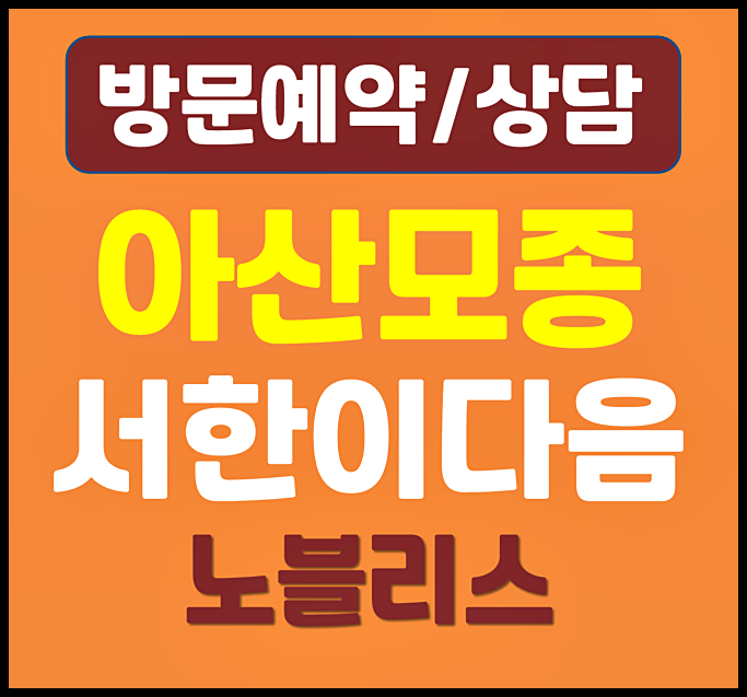  아산 모종 서한이다음 분양가 계약금 중도금