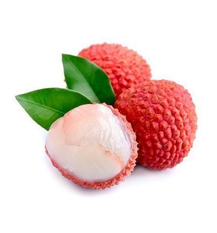  영앤리치 카페사장의 삶