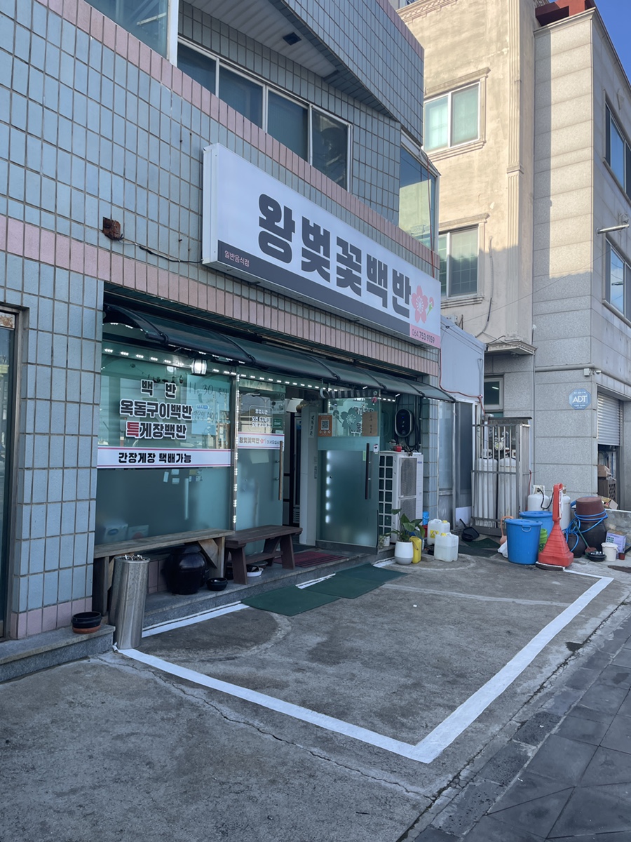 왕벚꽃백반 사진 1