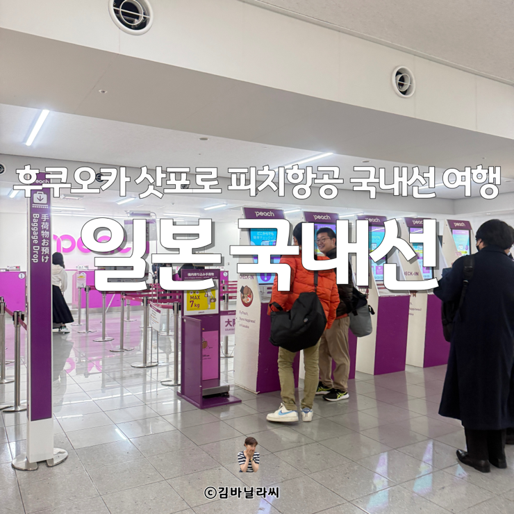  일본 여행 후쿠오카 삿포로 국내선 피치항공 공항 이동 정보 꿀팁