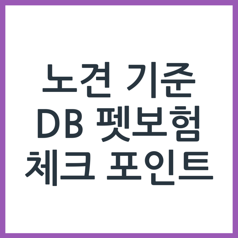 노견 기준 DB 펫보험 체크 포인트