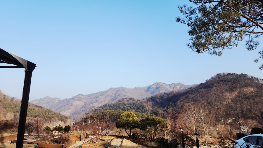 나무늘보요정게스트하우스 사진 5