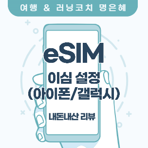 [여행/이심] 내돈내산 유심/이심 찐 리뷰 로밍도깨비 eSIM 사용법! 일본·태국 이심 설정(아이....
